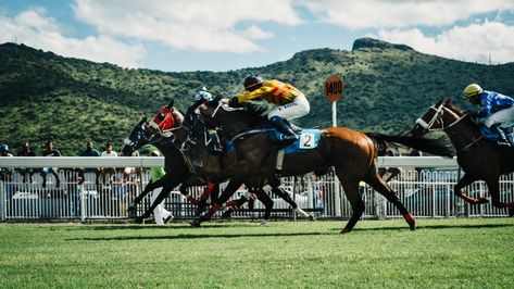 Use Machine Learning to Predict Horse Racing Horse Betting, Matched Betting, Preakness Stakes, Types Of Horses, Grand National, Popular Sports, Preakness, Travel Wanderlust, Royal Ascot