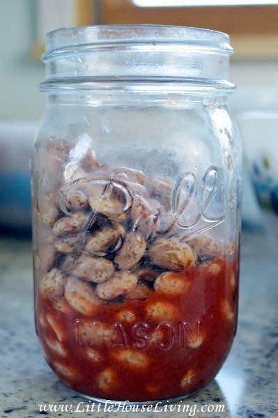 Canning Pinto Beans Canning Pinto Beans, Canning Dried Beans, Pinto Bean Chili, Canning Beans, Diy Canning, Bean And Bacon Soup, Pinto Bean Recipes, Bbq Beans, Pressure Canning Recipes