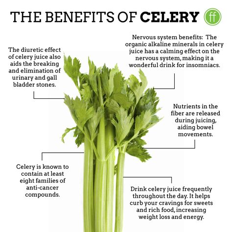 Read more about juicing, cleansing, and healthspiration at www.formulafreshjuice.com #Celery #Health #benefits #Healthspo Juicing Celery Benefits, Celery Health Benefits, Benefits Of Celery, Clean Gut, Food Remedies, Celery Juice Benefits, Diy Medicine, Food Knowledge, Healthy Facts