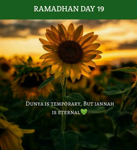 Ramadan 19 Ramadan Day 19 Quotes, Ramadan Day 19, Ramadan Dpz, Ramadan Month, Birthday Niece, Islamic Guidance, Royal Enfield Wallpapers, Happy Birthday Niece, Ramadan 2022