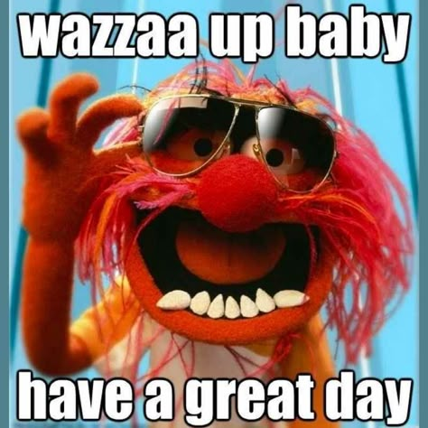 great day animal muppets meme Good Day Meme, Great Day Quotes, Funny Good Morning Memes, Morning Memes, Funny Good Morning Quotes, Morning Quotes Funny, Good Morning Funny, Good Day Quotes, Cute Good Morning