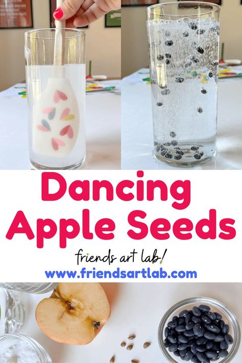 Easy Preschool Science, Seeds Preschool, Apple Lesson Plans, Kindergarten Science Experiments, Apple Science Experiments, Apple Theme Activities, Preschool Apple Activities, Science Activities For Toddlers, Science Experiments Kids Preschool