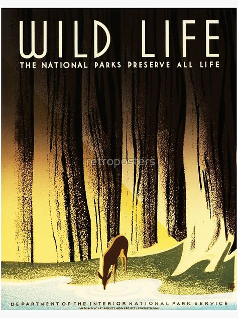 "WILD LIFE The National Parks Preserve All Life WPA NYC Federal Art Project" Poster by retroposters | Redbubble Art Deco Travel Posters, Art Deco Illustrations, Wpa Posters, Animal Conservation, Art Deco Illustration, Art Deco Poster, Deco Poster, Nyc Art, Ad Art