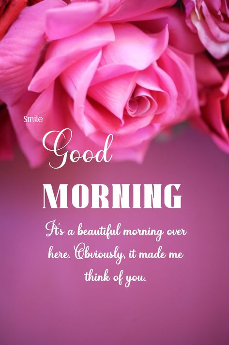 Good Morning Flower images for WhatsApp 𝐆𝐨𝐨𝐝 𝐌𝐨𝐫𝐧𝐢𝐧𝐠 𝐖𝐢𝐬𝐡𝐞𝐬 #goodmorningmessages Good Morning Thinking Of You Quotes, Good Morning For Her, Good Morning Darling, Whatsapp Good Morning, Darling Quotes, Sweetheart Quotes, Special Good Morning, Lovely Good Morning Images, Thinking Of You Quotes