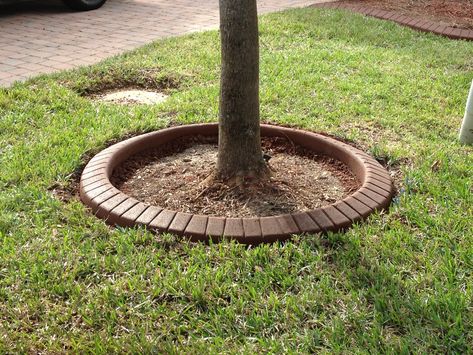 Perfect circle, tree ring. Brick stamp. Square Tree Edging, Tree Circle Landscape, Bricks Around Tree, Brick Tree Ring, Tree Ring Landscape, Diy Tree Rings, Concrete Paver Ideas, Landscaping Around Trees, Landscape Curbing