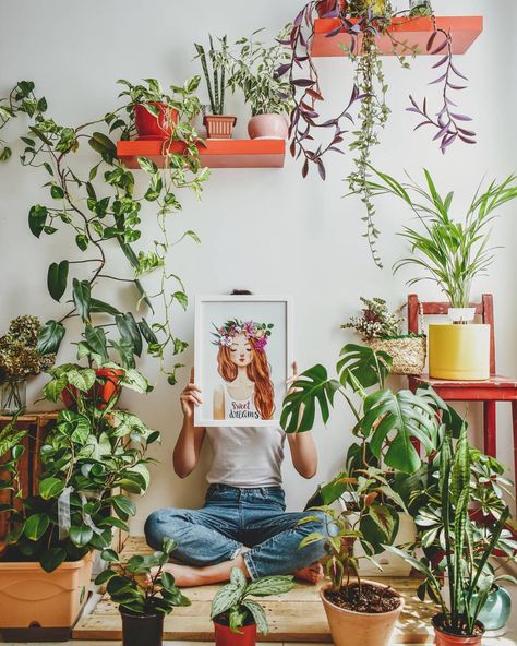 Studio Background Ideas, Golden Garden, Cat Drawings, Green Inspiration, Plant Guide, Garden Cafe, Book Corners, Plant Photography, Bridal Makeup Looks