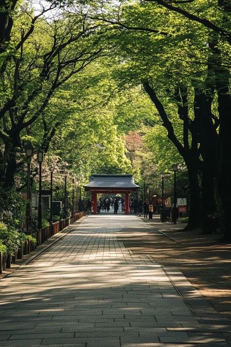 "🌸🏯 Experience the charm of Ueno Park in Tokyo! Stroll through lush gardens, visit museums, and enjoy seasonal cherry blossoms in this historic urban park. 🌳🗼 #UenoPark #Tokyo #CherryBlossoms" Ueno Park Tokyo, Ueno Park, Japan Garden, Urban Park, Lush Garden, Green Space, Tokyo Japan, Cherry Blossoms, Cherry Blossom