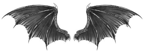 Wing Tattoo Men, Angel Wings Drawing, Realistic Dragon, Wings Png, Demon Wings, Dragon Silhouette, Wings Drawing, Dragon Artwork Fantasy, Neck Tattoo For Guys