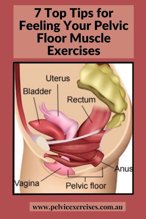 Pelvic Floor Muscle Exercises Pelvic Organ Prolapse Exercises, Prolapse Exercises, Bladder Exercises, Pelvic Floor Prolapse, Muscle Exercises, Side Fat Workout, Bladder Prolapse, Pelvic Floor Muscle Exercise, Pelvic Floor Therapy