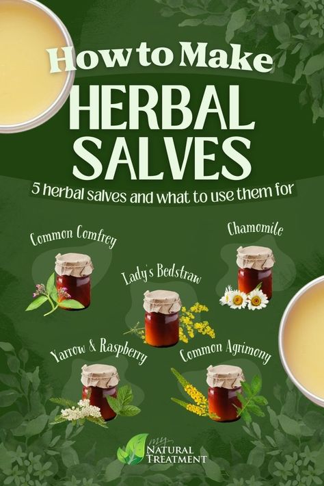 Diy Salves And Balms, Herbal Salves Recipes, Holistic Medicine Recipes, Botanical Recipes, Tincture Recipes, Homemade Lifestyle, Balms And Salves, Apothecary Recipes, Herbal Business