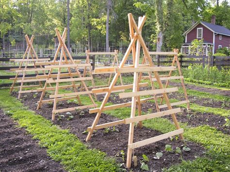 Land Ideas, Cucumber Trellis, Vertical Vegetable Garden, Garden Veggies, Veg Garden, Vertical Gardens, Have Inspiration, Garden Trellis, Yard And Garden