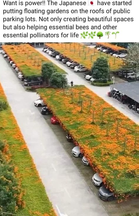 Parking Lot Architecture, Nanning, Young Farmers, Floating Garden, Urban Nature, Sustainable Garden, Green Park, Rooftop Garden, Forest Landscape