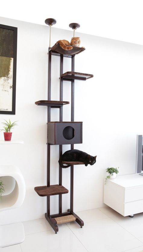 Ware Manufacturing Sky Tower & Reviews | Wayfair Modern Cat Tower, Hemingway Cats, Cat Tree Designs, Sky Tower, Cat Gym, Cat Hotel, Cat Climbing Frame, Cat Wall Furniture, Cat House Diy