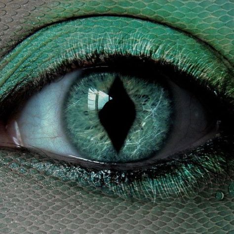 Snake Eye Aesthetic, Deuce Gorgon Aesthetic, Viper Aesthetic, Gorgon Aesthetic, Gemma Core, Green Eyes Aesthetic, Aesthetic Snake, Kanaya Maryam, Deuce Gorgon