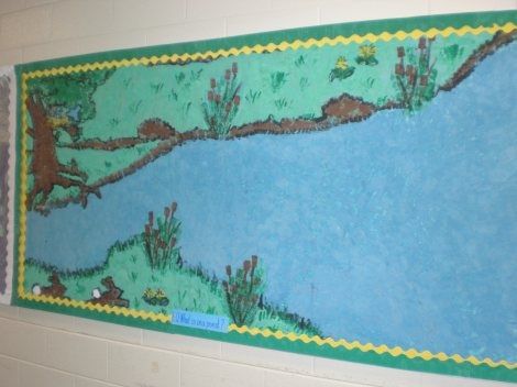 beaver bulletin board | pond/beaver den bulletin board | Montessori Lake Bulletin Board Ideas, Wetlands Bulletin Board, River Bulletin Board, Pond Bulletin Board, Kindergarten Animals, Cafeteria Bulletin Boards, Pond Life Theme, Water Study, Water Unit