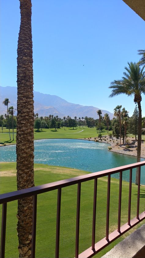 The Double Tree Hilton Golf Resort in Palm Springs is my new spot. Palm Springs Country Club, Palm Springs Golf, Tennis Aesthetic, It's Always Sunny, Tropical Destinations, Spring Trip, Grandmas House, Golf Resort, The Double