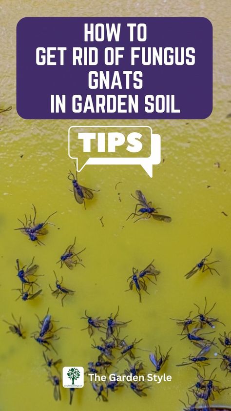 The pin shows a lot of fungus gnats stuck in a sticky trap. The pin title is "how to get rid of fungus gnats in garden soil". Learn more by visiting TheGardenStyle.com How To Get Rid Of Gnats, Fungus Gnats, Gardening Guide, Flying Insects, Diy Garden Projects, Garden Soil, Outdoor Oasis, Balcony Garden, Garden Styles