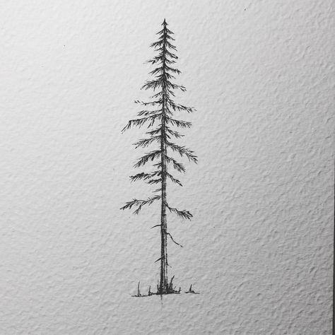 A pine tree for this rainy Monday (didn’t stop all day -.-) I got the pleasure to draw this one for a tattoo commission. I would draw them all the time but some change is nice too. Also I know I said I would do a little video showing how I draw them. It is planned but time just runs out at the end of the day. It is on my list. As are the giveaway illustrations ☺️ haven’t forgotten them either. . . . #lostswissmiss #illustration #drawing #draw #sketchbook #artwork #artworks #instaart #... Larch Tree Tattoo, I Know The End Tattoo, Pine Tree Tattoo Designs, Tree Tattoo Drawings, Pine Tattoo, Pine Tree Drawing, Types Of Trees, Rainy Monday, Pine Tree Art