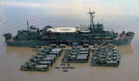 Mother hen and brood, APD BENEWAH with Brown Water Navy PB's Brown Water Navy, Vietnam History, Us Navy Ships, Military Photos, Army & Navy, Military Heroes, Concept Ships, United States Navy, Army Vehicles