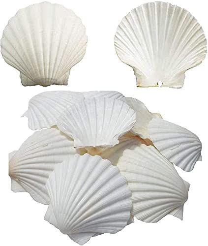 Ocean Theme Party Decorations, Tropical Napkins, Crab Crafts, Seashell Christmas Ornaments, Seashell Frame, Turtle Crafts, Ocean Theme Party, Beach Party Decorations, Seashell Ornaments