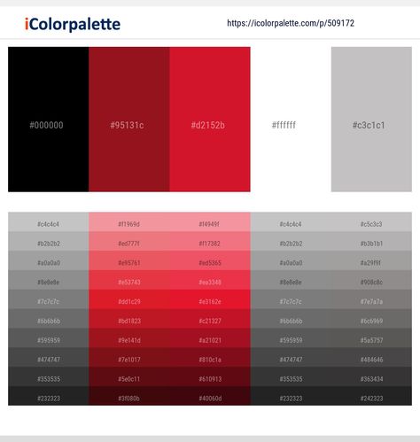 Red Colour Palette, Grey Color Palette, Grey Color Scheme, Grey Outfit, Black Business, Color Swatch, Black White Red, Red And Grey, Portfolio Website