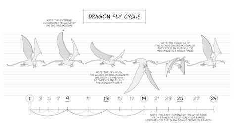 dragon fly cycle Dragon Poses Reference, Dragon Poses Reference Drawings, Flying Reference, Animation Drawing Sketches, Dragon Poses, Dragon Anatomy, Dragon Flying, Flying Creatures, Animation Classes