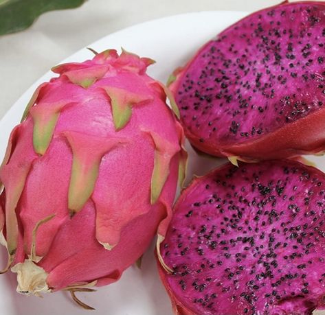 Purple Dragon Fruit, Hylocereus Undatus, Dragon Fruit Plant, Banana Apple Smoothie, Buah Naga, Pembuat Roti, Fruit Du Dragon, Purple Dragon, Sugar Scrub Diy