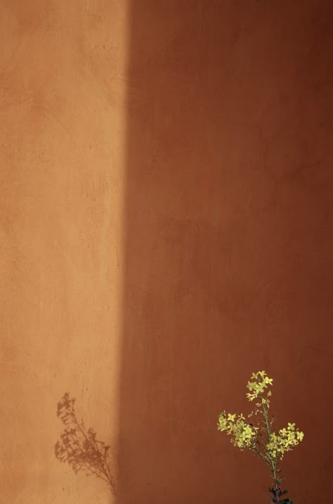 Lime Wash Walls, Limewash Walls, Lime Wash, Limewash Paint, Washing Walls, Lime Paint, Terracotta Wall, Orange Walls, Orange Tones