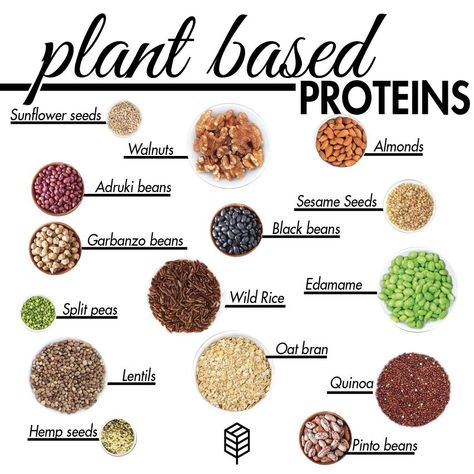 Fruit Vegetable Protein Diet, Whole Grain Plant Based Diet, Legumes List Of, Whole Grains List Food, Healthy Grains List Of, High Protein Grains, List Of Whole Grains, Whole Grain Foods List, Legumes List