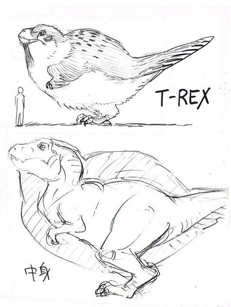 Don't under-feather your dinosaurs! - Album on Imgur T Rex With Feathers, Animal Claws Drawing, Fluffy Dinosaur Art, Fluffy Dinosaur, Jurassic Park Art, Bird Dinosaur, Fat Bird, Dinosaur Art, Jurassic Park World