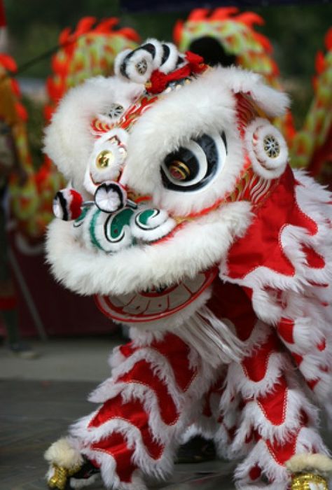 Image:  cphoto - Fotolia.com Chinese Parade, Lion Dance Costume, Chinese New Year Parade, Chinese New Year Traditions, Chinese New Year Crafts For Kids, Lion Dragon, Chinese New Year Food, Chinese Lion Dance, Chinese Theater