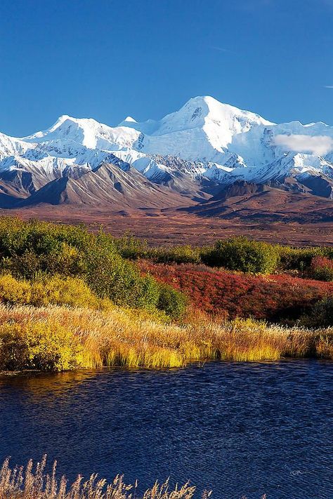 Beautiful World,  Linda's favorite. Dream Nature, Alaska Mountains, Denali National Park, Alam Yang Indah, Pretty Places, Most Beautiful Places, Beautiful World, Beautiful Landscapes, Wonders Of The World