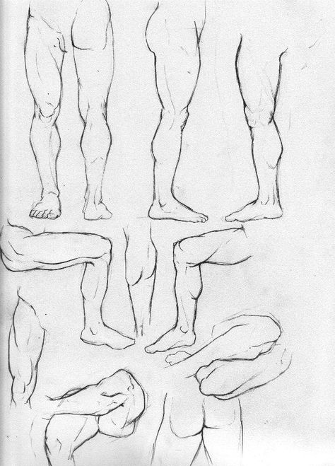 Anatomy Study Part 4-Legs by Rogzilla Male Body Study, Sketchbook Pages Inspiration, Leg Anatomy, Male Body Drawing, Figure Studies, Drawing Legs, Leg Art, Body Study, Man Anatomy