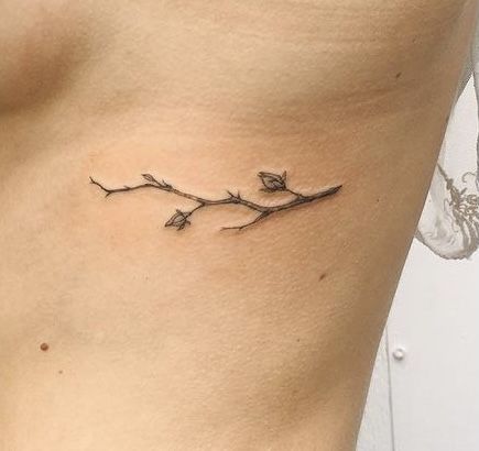 Twig Tattoo Branches, John 15 Tattoo Vines Branches, Weeping Willow Branch Tattoo, Branch With Flowers Tattoo, Vine And Branches Tattoo, Twig Tattoo, Branch Tattoo Design, Branches Tattoo, Tree Branch Tattoo