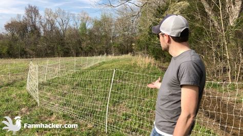 Are you wanting to pasture your poultry and keep predators away? I want to share the best poultry netting with you so you can keep your chickens protected and Pig Fence, Farm Fences, Solar Electric Fence, Goat Fence, Pastured Poultry, Chicken Wire Fence, Chicken Fence, Fence Options, Horse Fencing