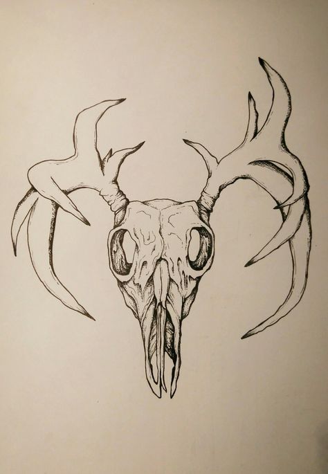 Reindeer skull design Reindeer Skull, Skull Design, Art Sketches, Reindeer, Moose Art, Humanoid Sketch, Animals, Design, Art