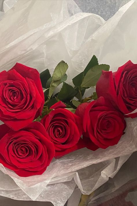 From your ex never buying you flowers to you're bf driving 2 hours in the rain to bring you 5 roses (your fav number) #relationship #dreamguy #boyfriend💕 Love Rose Flower, Love Rose, Dream Guy, In The Rain, The Rain, Rose Flower, Roses, Flowers, Color