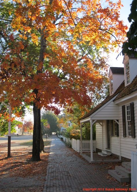 Williamsburg Colonial, Colonial Williamsburg Va, Colonial Williamsburg Virginia, Colonial Garden, Virginia Fall, Fall Accents, Fall Morning, Colonial Homes, Colonial Times