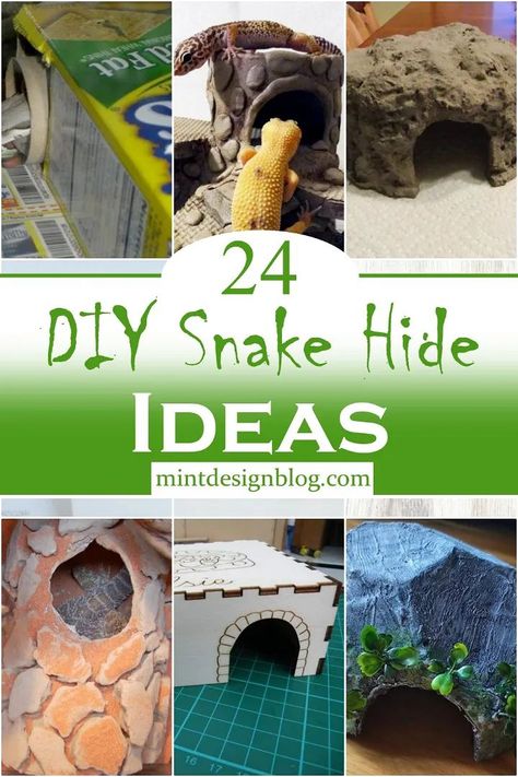 DIY Snake Hide Ideas Diy Snake Hide, Crochet A Gnome, Ball Python Pet, Diy Cat Shelves, Snake Cages, Diy Snake, Diy Reptile, Bearded Dragon Diy, Snake Terrarium