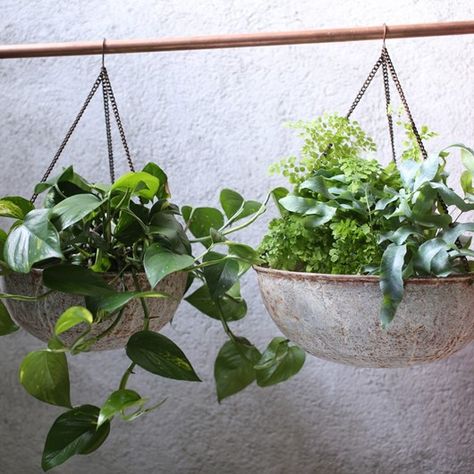 Abari Round Hanging Planter Bacopa Plant, Potted Gardens, Potted Garden, Iron Planters, Hanging Flower Baskets, Clay Planters, Terracotta Planter, Planter Stand, Large Planters