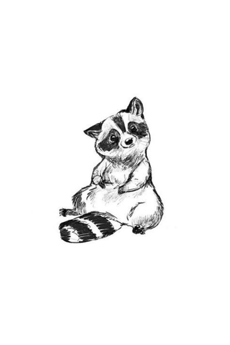 Raccoon Anatomy Drawing, Best Friend Raccoon Tattoos, Raccoon Hand Tattoo, Tattoo Ideas Raccoon, Cartoon Raccoon Tattoo, Raccoon Tattoo Cute, Cute Raccoon Drawing Simple, Cute Racoon Drawings, Matching Raccoon Tattoo