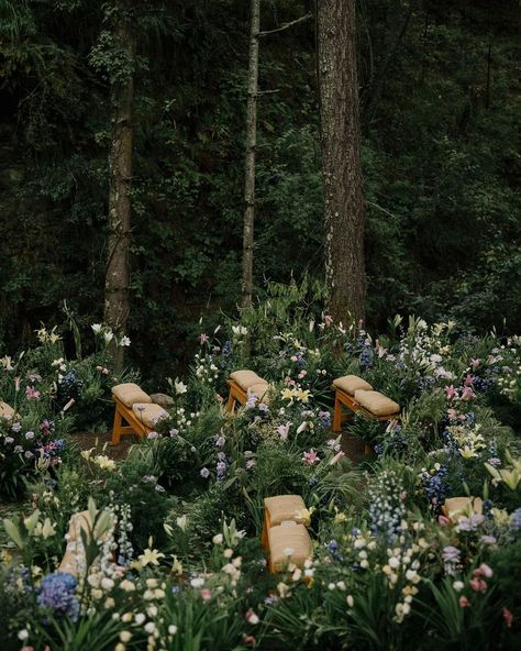 Incredibly romantic wedding in Bhutan. We travel to all destinations to make your dream wedding come to life. #TEAMIAMFLOWER @iamflower.co… | Instagram Unique Alter Ideas, Folklore Inspired Wedding, Midsommar Wedding, Japanese Inspired Wedding, Small Romantic Wedding, Ethereal Garden Wedding, Luxury Garden Wedding, Whimsigoth Wedding, Whimsical Outdoor Wedding