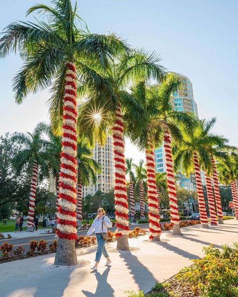 VISITFLORIDA on Instagram: "Christmas trees ... the 𝙁𝙡𝙤𝙧𝙞𝙙𝙖 way. 👆🎄🌴 Are you celebrating the holidays in the Sunshine State? ☀️ #LoveFL 📸: @vspc 📍: St. Petersburg Pier" Christmas Dinner Outfits, Gifts For Men Christmas, Dinner Outfits Winter, Outfit Ideas Christmas, Christmas Destinations, Kids Holiday Gifts, St Petersburg Florida, Warm Christmas, Christmas Travel