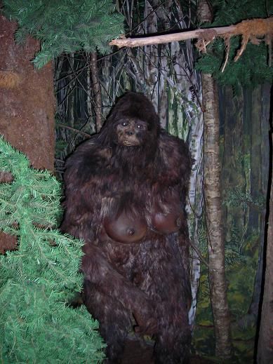 Real Bigfoot Pictures, Real Bigfoot, Bigfoot Pictures, Yeti Bigfoot, Bigfoot Art, Bigfoot Sightings, Abominable Snowman, Unexplained Phenomena, Bigfoot Sasquatch