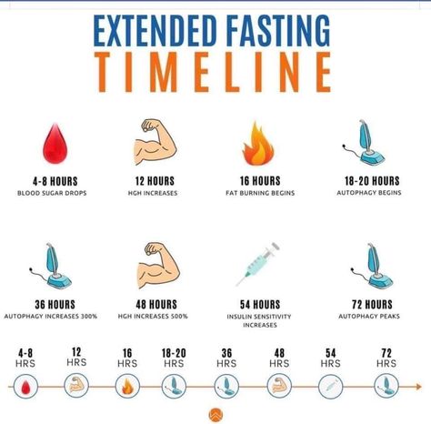 Fasting Motivation, Liver Repair, Hormone Nutrition, Fasting Diet Plan, Keto Fast, Fast And Pray, Carnivore Diet, Elimination Diet, Fasting Diet