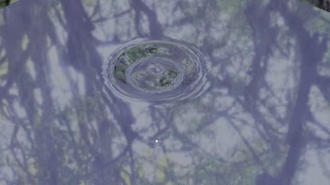 Water Drop Ripple, Ripple Effect, Water Water, Water Drops, Water Drop, Animated Gif, Cool Gifs, Gif, Water