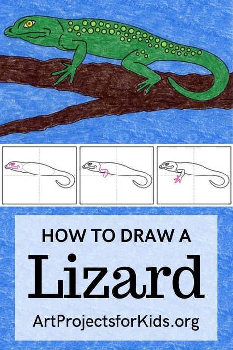 How to draw a Lizard How To Draw A Lizard, Drawing Projects For Kids, Lizard Craft, Green Anole, Kindergarten January, Grade 2 Art, Kindergarten Arts And Crafts, Kid Art Projects, Sharing The Planet