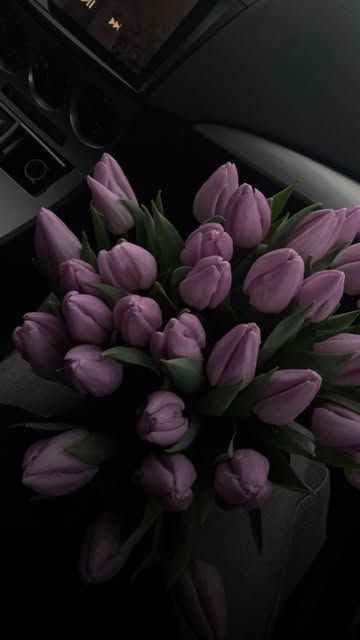 Purple Flower Bouquet Aesthetic, Purple Tulips Bouquet, Purple Flower Bouquet, Flower Icon, Flower Icons, Tulip Bouquet, Purple Tulips, Purple Flowers, Flowers Bouquet