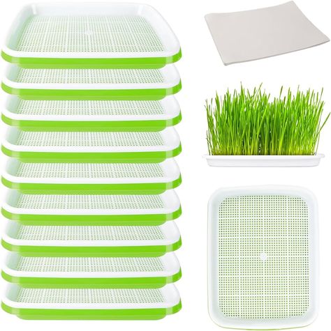 Fohil 10 Packs Seed Sprouter Tray with Seedling Paper, Double Layer Garden Seed Starting Sprouting Kit for Wheatgrass Cat Grass, Soil-Free Seed Tray Big Capacity Healthy Grower Storage Trays : Amazon.ca: Patio, Lawn & Garden Layer Garden, Seed Sprouter, Broccoli Seeds, Cat Grass, Seed Germination, Wheat Grass, Greens Recipe, Seed Starting, Garden Seeds