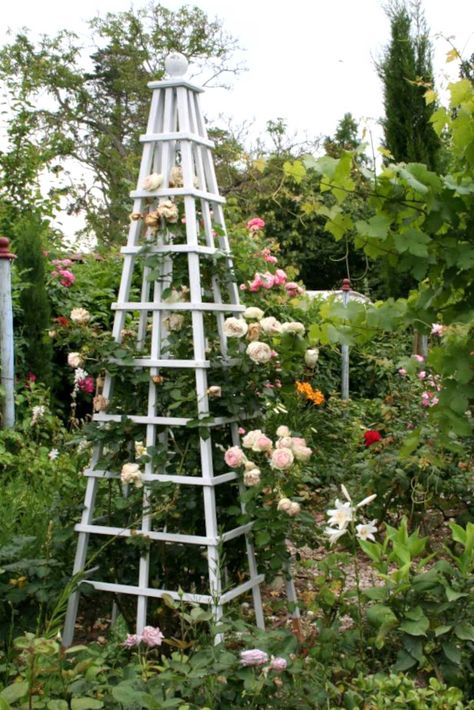 Pyramid cage for a climbing rose to grow on Climbing Roses Trellis, Roses Climbing, Wooden Arbor, Garden Front Yard, Rose Arbor, Wood Trellis, Arbors Trellis, Rose Trellis, Wooden Roses